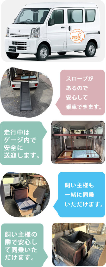 スロープがあるので安心して乗車できます。/走行中はケージ内で安全に送迎します。/飼い主様も一緒に同乗いただけます。